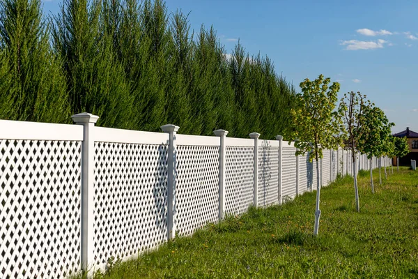 White Vinyl Fence Cottage Village Tall Thuja Bushes Fence Fencing — Stock Photo, Image