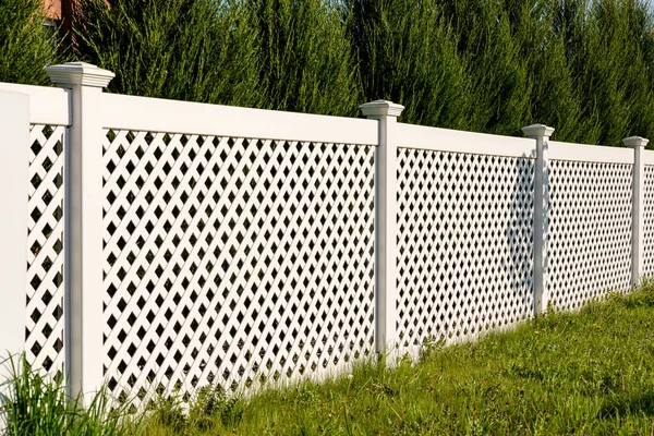 Yazlık bir köyde beyaz vinil çitler. Uzun Thuja çalıları çitin arkasında. Özel mülkiyet eskrimi.