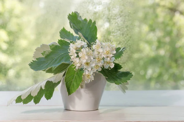 White Blossoms Mountain Ash Close White Flowers Small White Vase — Stock Photo, Image