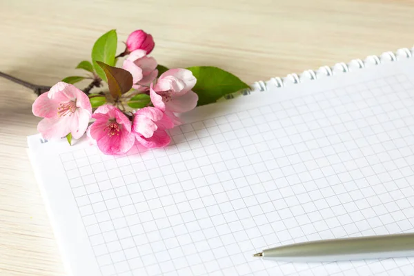 Empty Notebook Pink Apple Blossoms White Table Woman Working Desk — Stock Photo, Image