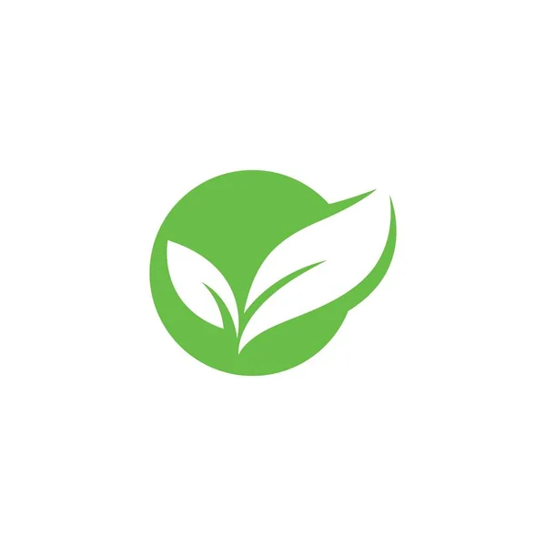 Eco Tree Leaf Logo Vorlage — Stockvektor