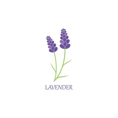 Lavanta çiçekli aromatik logo vektör simgesi çizimi