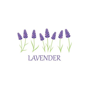 Lavanta çiçekli aromatik logo vektör simgesi çizimi