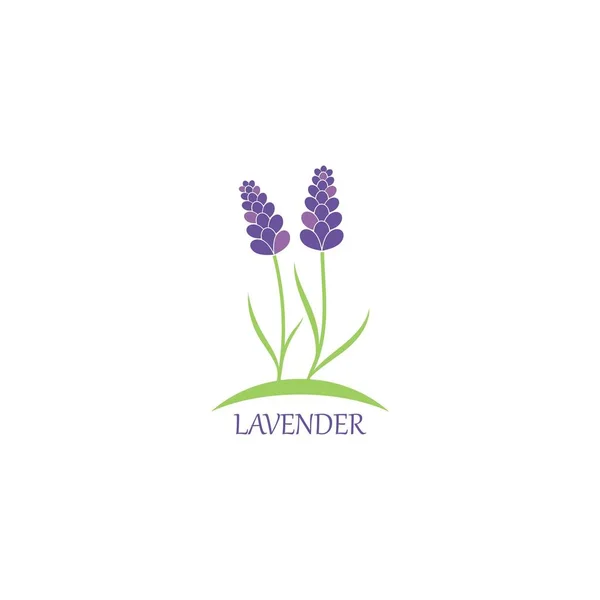 Lavanda floral logotipo aromático ícone do vetor ilustração — Vetor de Stock