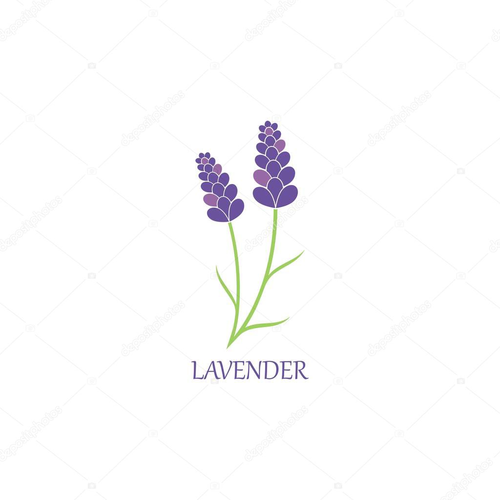 Lavender floral aromatic logo vector icon illustration design