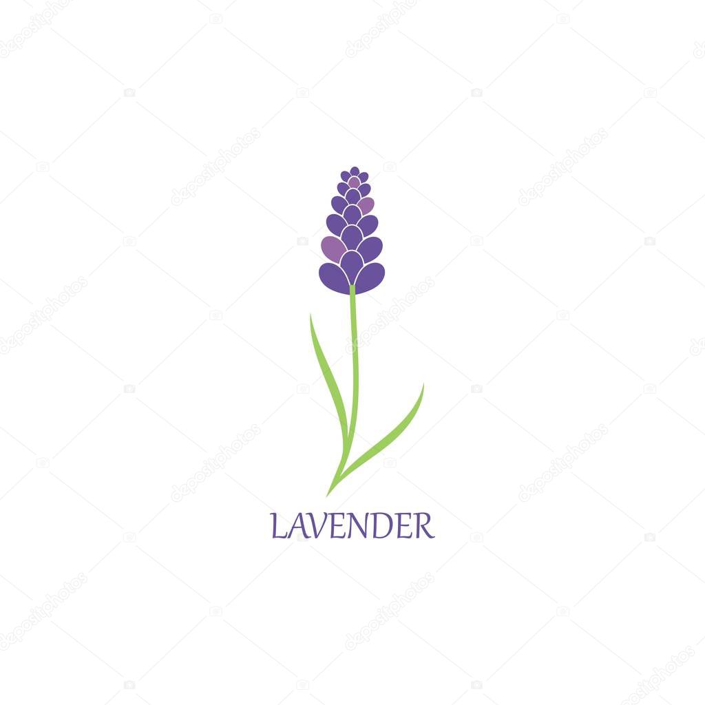 Lavender floral aromatic logo vector icon illustration design