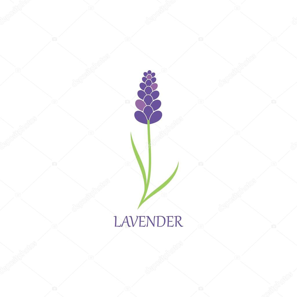 lavender floral aromatic logo vector icon illustration