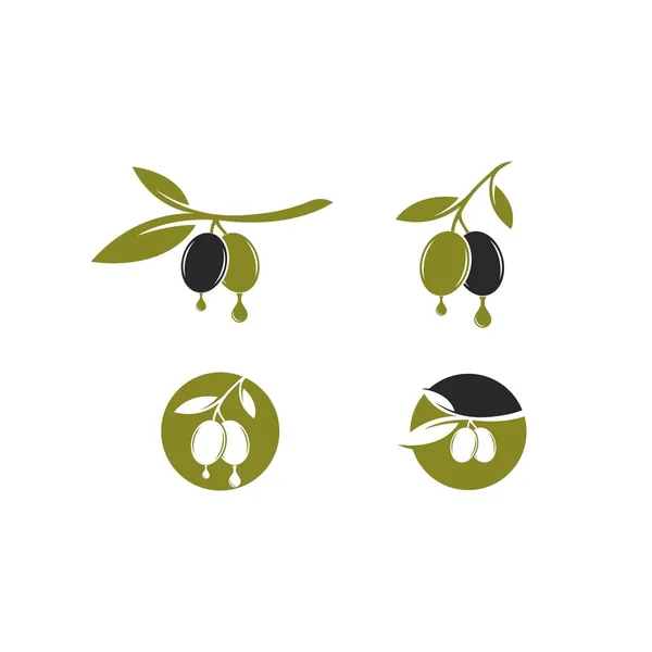 Jeu d'illustration vectorielle logo olive — Image vectorielle