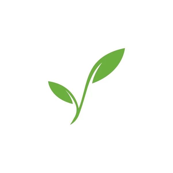 Šablona loga Eco Tree Leaf — Stockový vektor