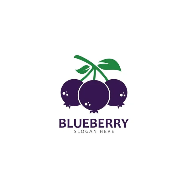 Blueberry logo vector plantilla icono ilustración — Vector de stock