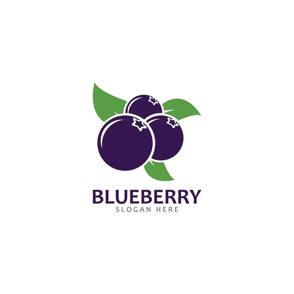 Blueberry logo vector plantilla icono ilustración — Vector de stock