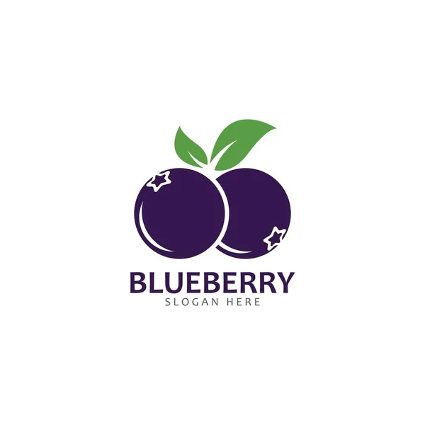 Blueberry logo vector plantilla icono ilustración — Vector de stock