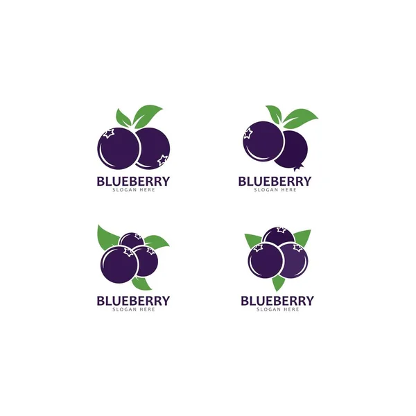 Blueberry logo vector plantilla icono ilustración — Vector de stock