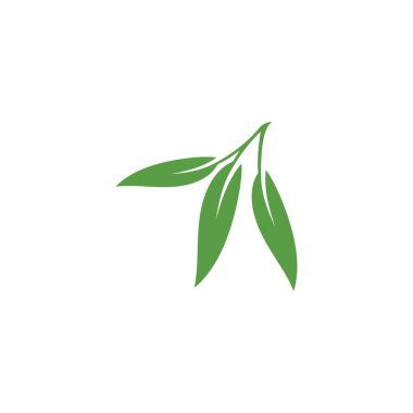 Okaliptüs çiçekli logo vektör şablonu bırakır 