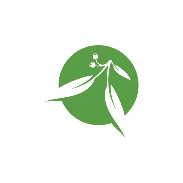 Eukaliptusa liści kwiatowy wzór wektor logo — Wektor stockowy