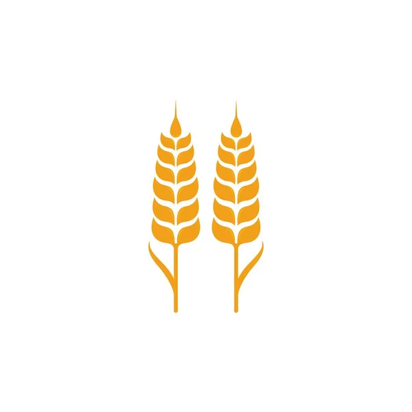 農業用小麦のロゴテンプレートのアイコン — ストックベクタ