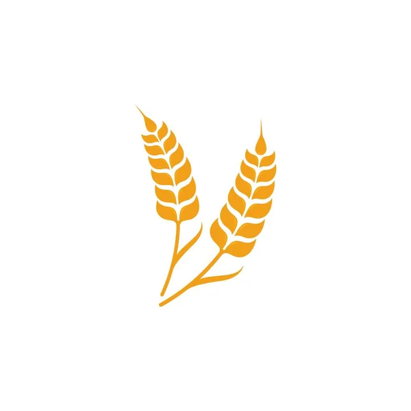 Modèle de logo de blé agricole icône vectorielle — Image vectorielle