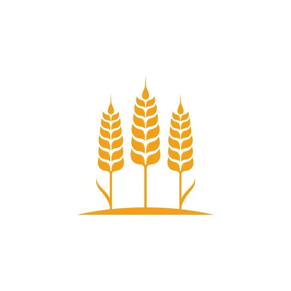 Modèle de logo de blé agricole icône vectorielle — Image vectorielle