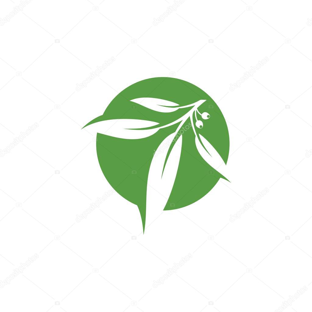 Eucalyptus leaves floral logo vector template design