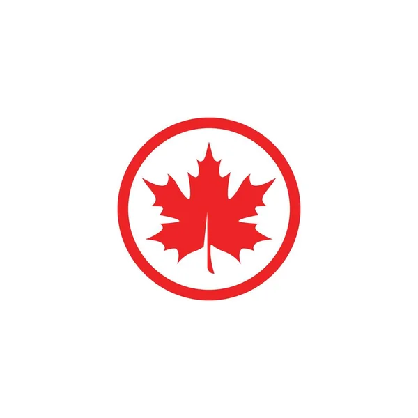 Maple leaf logo template vector icon illustration — Stock Vector