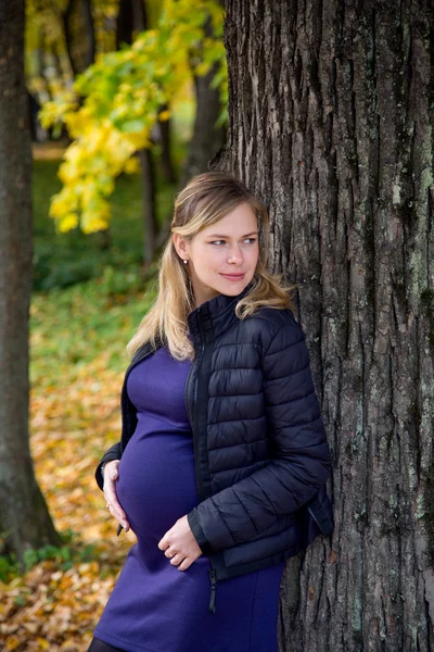 Zwangere vrouw in de herfst — Stockfoto