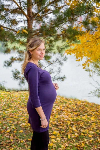 Sonbahar hamile kadın — Stok fotoğraf