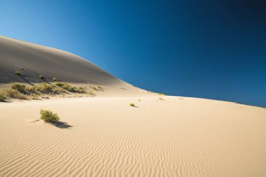 Eureka Vadisi kum tepeleri. Ölüm Vadisi Ulusal Parkı, Kaliforniya