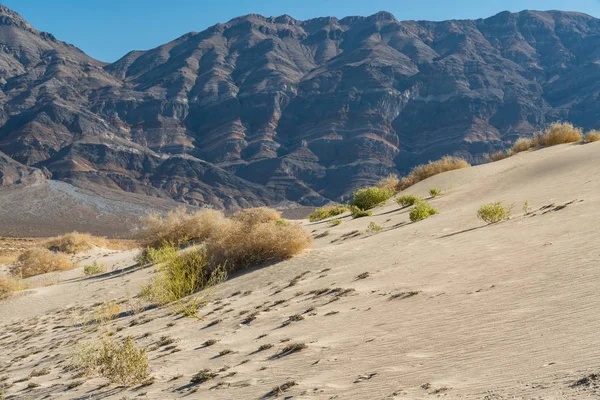 Eureka Valley Death Valley National Park California — 스톡 사진