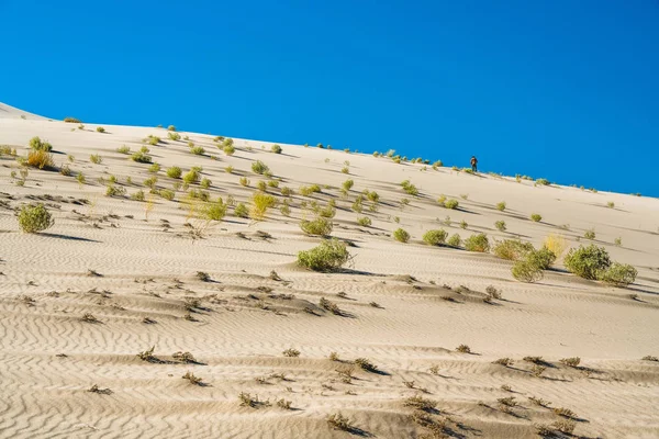 Les Dunes Vallée Eureka Les Hautes Californie Parc National Death — Photo