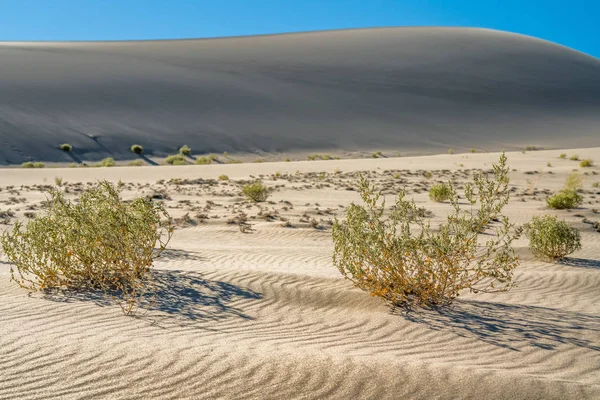 Parc National Vallée Mort Endroit Chaud Monde Dunes Sable Eureka — Photo