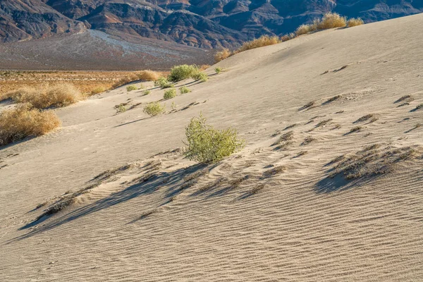 Zandduinen Bergen Eureka Valley Death Valley Nationaal Park Californië — Stockfoto