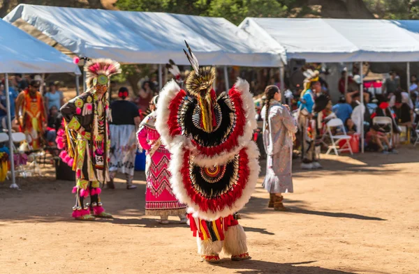 Live Oak Campground Santa Barbara Usa October 2019 2019 Santa — ストック写真