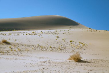 Eureka Kumulları, Kaliforniya 'daki en uzun kum tepeleri. Ölüm Vadisi Ulusal Parkı