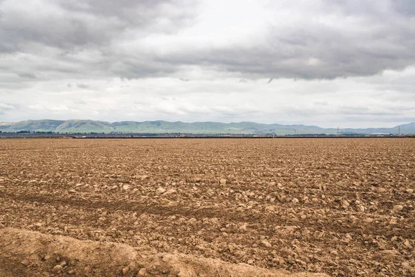 Agricultural field, stage of preparation for sowing of crops