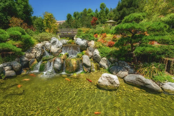 Japansk Zen Trädgård Vattenfall Och Älv Med Koifisk — Stockfoto