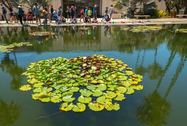 San Diego California Usa August 2019 Lily Pond Historical San — Stockfoto