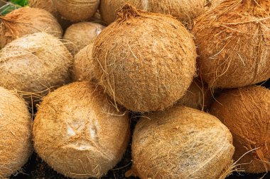 Organic coconuts close up in the food market