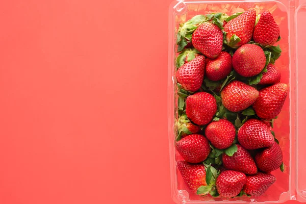 Verse Rijpe Biologische Aardbeien Plastic Container Close Rode Achtergrond Uitzicht — Stockfoto