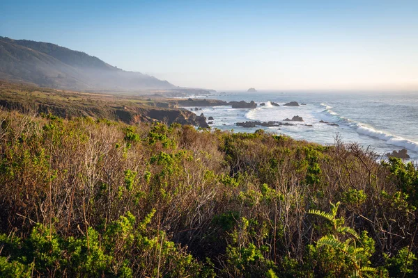 Los Padres Ulusal Ormanı Ndaki Pasifik Vadisi Monterey County Pasifik — Stok fotoğraf