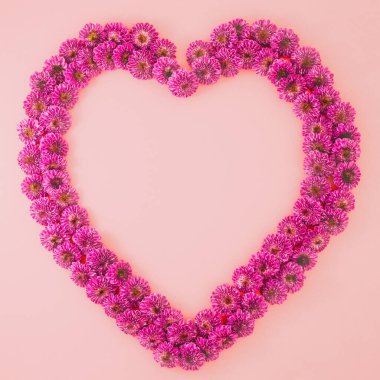 Pembe kasımpatı çiçekleri arka planda pembe arkaplanı kapatır, fotokopi alanı ile düzleşir. Aşk, Sevgililer Günü, Düğün, Doğum günü konsepti