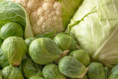 Brüksel lahanası, karnabahar ve beyaz lahana yakında. Çiftçi pazarından taze organik sebzeler.