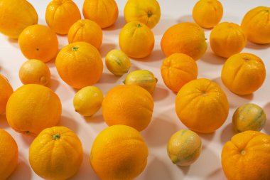Beyaz arka planda portakallar ve limonlar. Taze olgun meyveler yakın, yukarıdan görünüyor.