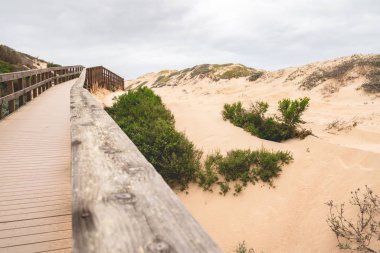 Rustik ahşap Beach Boardwalk kum tepeleri ile. Oso Flaco Gölü doğal bölgesi eyalet parkı, Kaliforniya