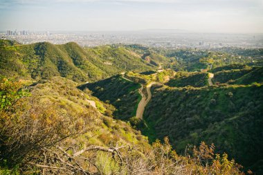 Griffith Park yürüyüş yolu ve Hollywood Hills 'ten Los Angeles şehir merkezinin muhteşem manzarası.
