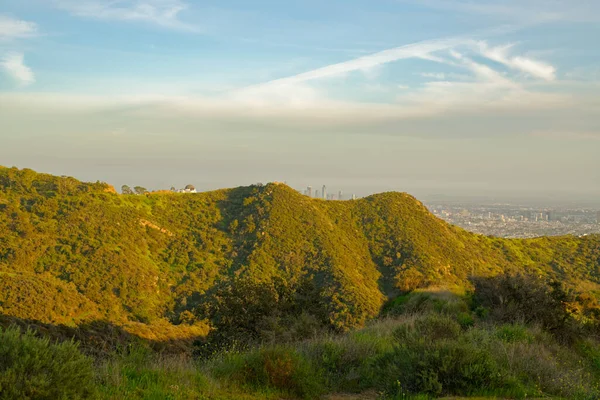 Hollywood Hills Túraútvonal Los Angeles Kalifornia — Stock Fotó