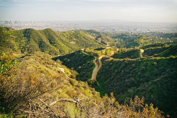 Griffith Park Túraútvonal Látványos Kilátás Los Angeles Belvárosára Hollywood Hills — Stock Fotó