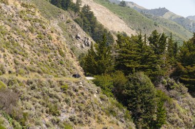 1. Kaliforniya Eyalet Yolu. Big Sur, Monterey ilçesi. Yerli Kızılağaç Ormanı 'ndan geçerken.