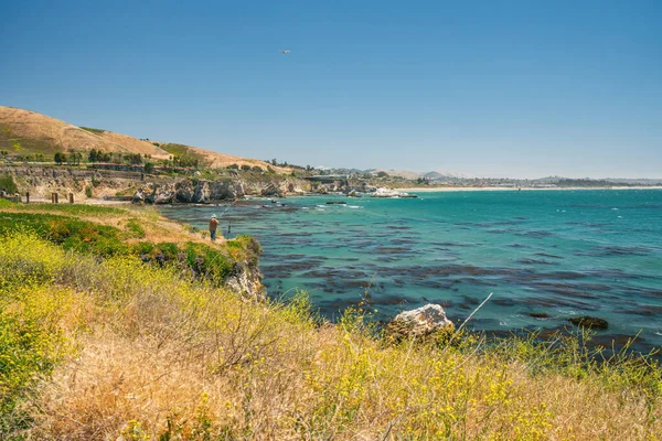 Pismo Beach カリフォルニア州 2020年5月15日 ピズモビーチの崖や海の景色 美しいカリフォルニア中央海岸 — ストック写真