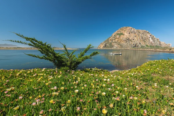 Morro Bay State park, California Coastline. Beautiful Morro Rock, quiet water, and clear blue sky background