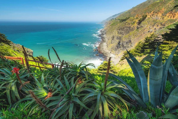 Kaliforniya 'nın Ragged Point sahil şeridinde Big Sur. Uçurumlar, Pasifik Okyanusu ve güzel tropikal ağaçlar ve çiçekler.